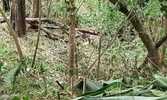 Imagem: TERRENO - PIRAPORA DO BOM JESUS