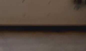 Imagem: SALÃO - CENTRO OSASCO