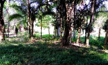 Imagem 4: Terreno para Venda em Ibiúna / SP no bairro Depois do Centro