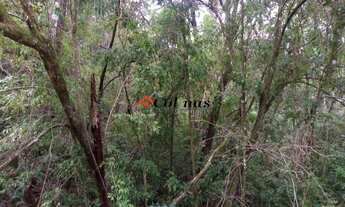 Imagem 4: TERRENO EM CONDOMÍNIO RESIDENCIAL em IBIÚNA - SP, Depois do centro