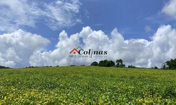 Imagem: AREA COMERCIAL em IBIÚNA - SP, Depois do