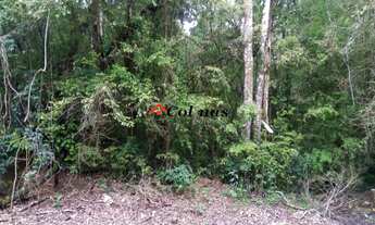 Imagem 3: TERRENO EM CONDOMÍNIO RESIDENCIAL em IBIÚNA - SP, Depois do centro