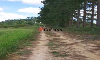 Imagem 7: TERRENO RESIDENCIAL em IBIÚNA - SP, Depois do centro