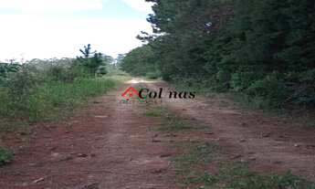 Imagem 5: TERRENO RESIDENCIAL em IBIÚNA - SP, Depois do centro