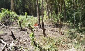 Imagem 7: TERRENO EM CONDOMÍNIO RESIDENCIAL em IBIÚNA - SP, Antes do centro