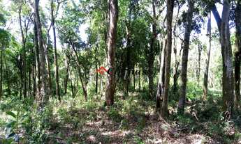 Imagem 4: TERRENO RESIDENCIAL em IBIÚNA - SP, Depois do centro