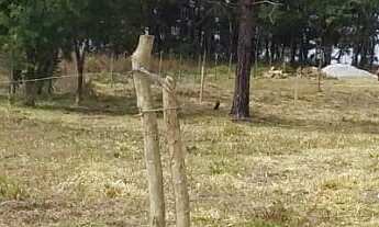 Imagem 5: Terreno para Venda em Ibiúna / SP no bairro Depois do Centro