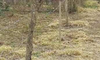 Imagem 4: Terreno para Venda em Ibiúna / SP no bairro Depois do Centro