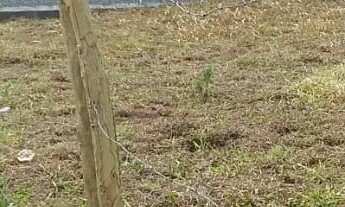 Imagem 7: Terreno para Venda em Ibiúna / SP no bairro Depois do Centro