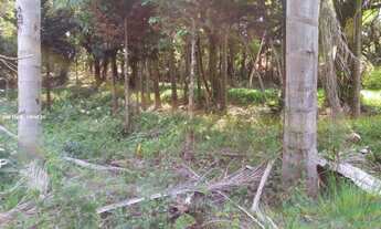 Imagem 3: Terreno para Venda em Ibiúna / SP no bairro Depois do Centro