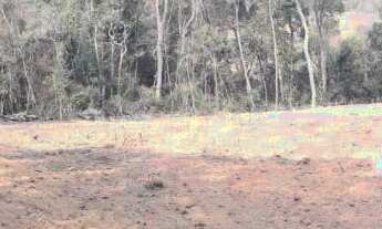 Imagem 7: Terreno para Venda em Ibiúna / SP no bairro Depois do Centro