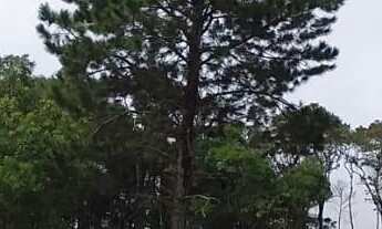 Imagem 3: Terreno para Venda em Ibiúna / SP no bairro Depois do Centro