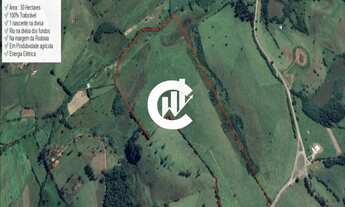 Imagem: Sítio Dom Viçoso MG - Produzindo, 30 hectares