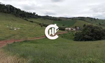 Imagem 4: Fazenda - Gado corte - próx. São Lourenço MG