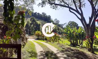 Imagem: Sítio à venda em Carvalhos-MG 5 quartos