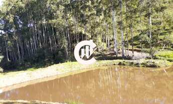 Imagem 6: Sítio à venda em Carvalhos-MG: 5 quartos, 2 banheiros, 2 vagas, 16,32 hectares!