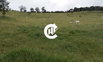 Imagem: Fazenda - Gado corte - próx. São Lourenço