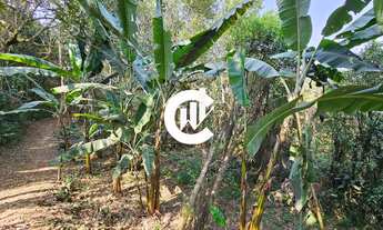 Imagem 3: Sitio 13 hectares Soledade de Minas, 680mil