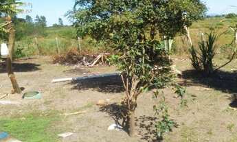 Imagem 5: Sitio em Macaé RJ na localidade do imburo próximo da BR 101