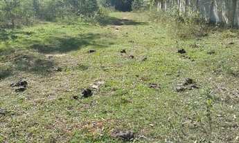 Imagem 4: Terreno a venda em Macaé RJ 149.000m2 Santa Teresa para investidor (próximo ao condomínio