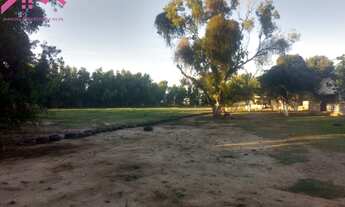 Imagem 6: Sitio em Macaé RJ na localidade do imburo próximo da BR 101