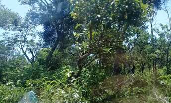 Imagem 2: Fazenda com 8.750 Hectares na região de Caxias - MA