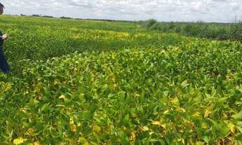 Imagem 2: Fazenda na região de Colinas do Tocantins