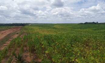 Imagem: Fazenda na região de Colinas do Tocantins