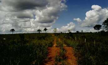 Imagem: Fazenda com 1.334 Alqueires na região de