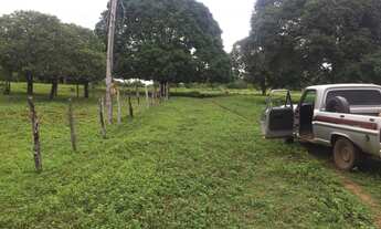 Imagem: Fazenda na região de Goiatins, Tocantins