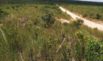 Imagem 6: Fazenda na região de Colinas do Tocantins