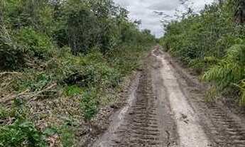 Imagem: Fazenda com 8.750 Hectares na região de