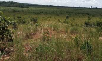 Imagem 5: Fazenda na região de Colinas do Tocantins