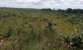 Imagem 4: Fazenda na região de Colinas do Tocantins