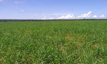 Imagem 3: OPORTUNIDADE DE INVESTIMENTO