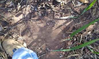 Imagem 6: OPORTUNIDADE IMPERDÍVEL