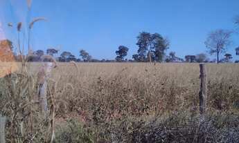 Imagem 2: OPORTUNIDADE IMPERDÍVEL