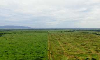 Imagem 6: Fazenda com 1.000 alqueires na região de Santana do Araguaia/PA