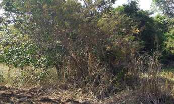 Imagem 3: OPORTUNIDADE IMPERDÍVEL