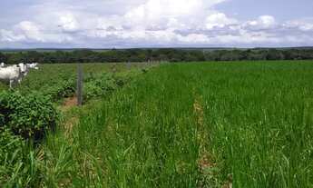 Imagem 2: OPORTUNIDADE DE INVESTIMENTO