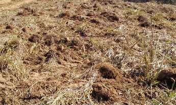 Imagem 5: OPORTUNIDADE IMPERDÍVEL