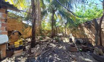 Imagem 7: Ideal para investidores