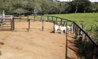 Imagem 7: Fazenda de 45 Alqueires a venda de porteira fechada