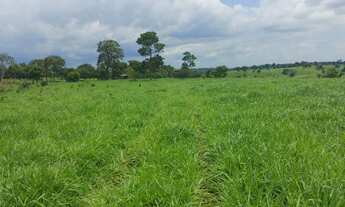 Imagem: Fazenda no Município de Guaraí, Tocantins