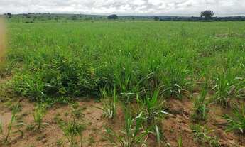 Imagem 7: FAZENDA RURAL em Bahia - BA, Bahia