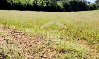 Imagem: Sítio para venda em Palmeiral