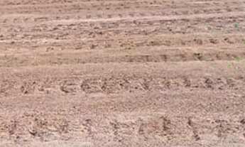 Imagem: Terrenos para venda em Bandeira do Sul