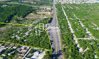 Imagem: Área total de 58.000m2 á venda a margens