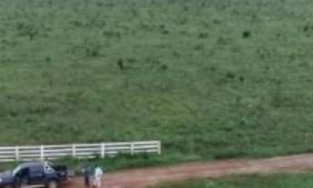 Imagem: Fazenda de 1958 hectares São Felix do Araguaia