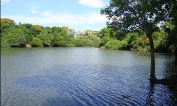 Imagem: Fazenda de 9200 Hectares em Luciara MT